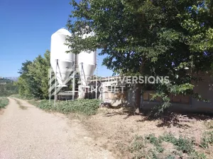 Se Vende Granja de Cerdas en Lleida