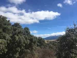 VENTA FINCA RUSTICA SEGOVIA