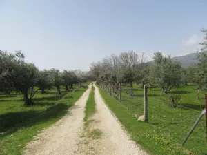 Finca Recre e La Vera Ref. 1505