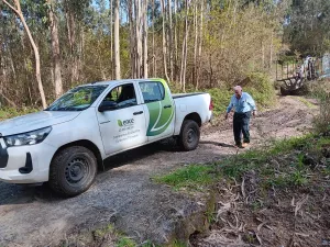 VENTA FINCAS Y MONTES EN MEAÑO (PONTEVEDRA)