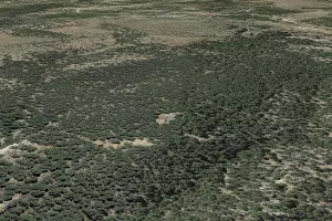 Finca Seron