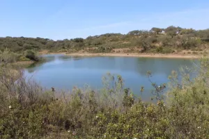 FINCA CINEGETICA EN HUELVA - 1461