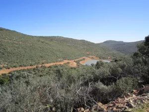 FINCA CINEGETICA EN CIUDAD REAL - 1416
