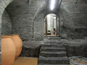FINCA CON VIÑEDO EN ORENSE - 1362
