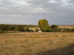 FINCA AGRICOLA, RECREO Y CAZA EN CIUDAD REAL
