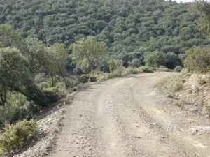 FINCA CINEGETICA EN ZARAGOZA - 1327