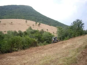 VENDO FINCA GIJANO DE MENA (BURGOS)