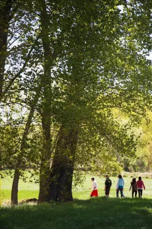 Finca agrícola de 3ha con casa de 200m2