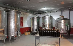 Bodega en venta de vinos naturales