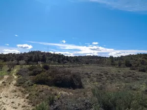 Finca Rustica Fabara Locatión