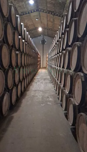 Bodega de vinos, brandy DO Jerez
