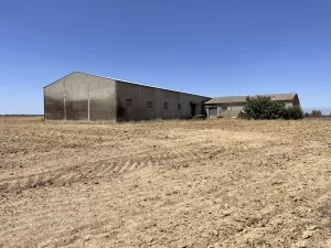 Finca de regadío 30ha