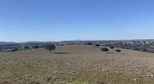 OPORTUNIDAD FINCA GANADERA DE 440has