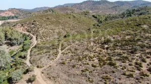 Finca ganadera en Huelva con vivienda y caza