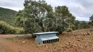 Venta finca de caza con vivienda en Zaragoza