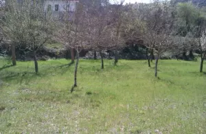 SE VENDE finca en URRIA (Norte de Burgos)