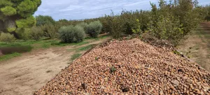 Vendo finca rustica