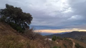Finca Rústica  Licencia construcción vivienda