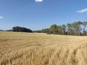 SE VENDE FINCA RÚSTICA EN ALCOCER (GUADALAJAR