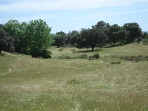 Finca de recreo en venta en Jaraíz de la Vera