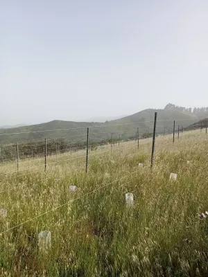 FINCA 31.616 M2 GRAN CANARIA (ISLAS CANARIAS)