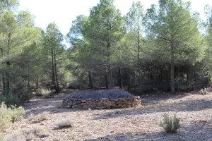 Finca de caza y recreo en Albacete Ref. 1523