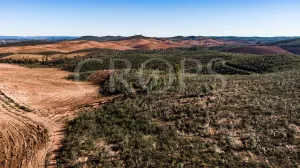 Finca agrícola de regadío en Huelva