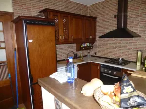 Olivar y viña con casa en Toledo