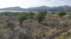 Terreno agrícola con agua y balsa