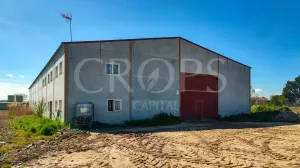 Finca agrícola de regadío en Madrid