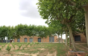 Masia medieval con viñedo en el Penedès