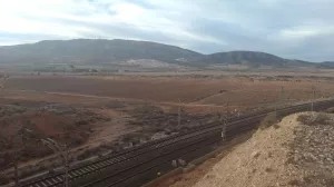 Disponibilidad cultivo de cáñamo industrial