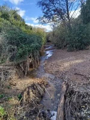 VENTA FINCA EN SIERRA DE ARACENA Y PICOS DE A