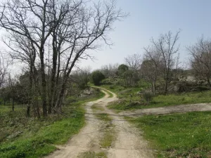Finca Recre e La Vera Ref. 1505