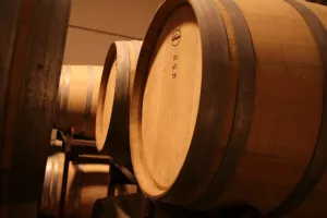 Vendo bodega y viñedos D.O. Ribera de Duero