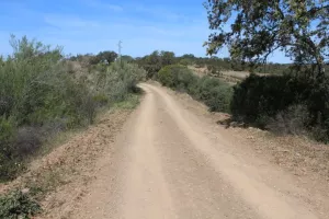FINCA CINEGETICA EN HUELVA - 1461
