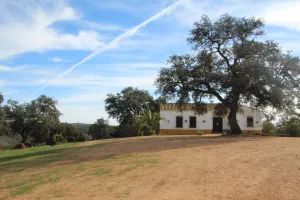 FINCA DE CAZA Y CORCHO EN HUELVA - 1447