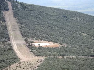 FINCA CINEGETICA EN CIUDAD REAL - 1416