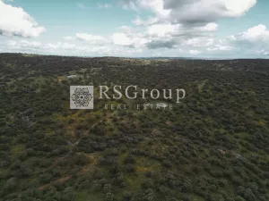 GRAN FINCA DE LUJO A SOLO 50 KM DE SEVILLA