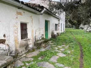 Finca 114 ha de dehesa en Montánchez, Cáceres