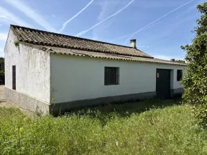 Finca de naranjos en Palma del Río