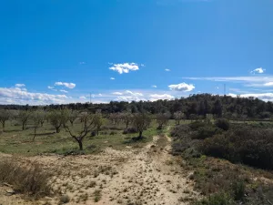 Finca Rustica Fabara Locatión