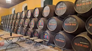Bodega de vinos, brandy DO Jerez