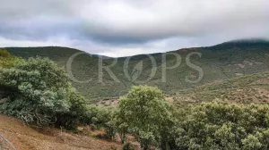 Venta finca de caza con vivienda en Zaragoza