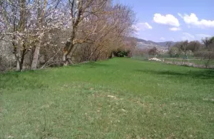 SE VENDE finca en URRIA (Norte de Burgos)