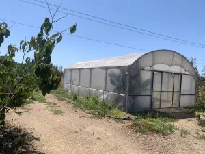 Finca con antigua torre