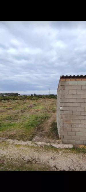 Venta en Oliva Terreno