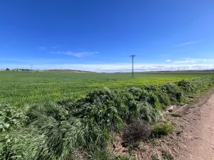 Finca de 183 ha (60 de REGADIO)