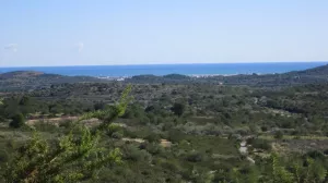 Finca vista mar, pozo y permiso construir