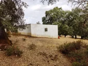 ¡¡¡ FINCA IDEAL PARA MONTAR NEGOCIO RURAL!!!
